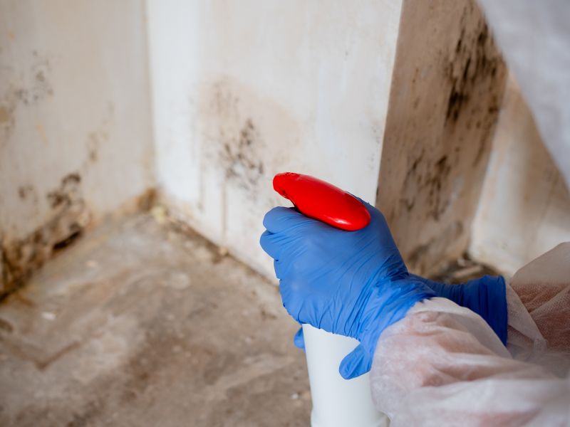 Sanitization and Mold Prevention